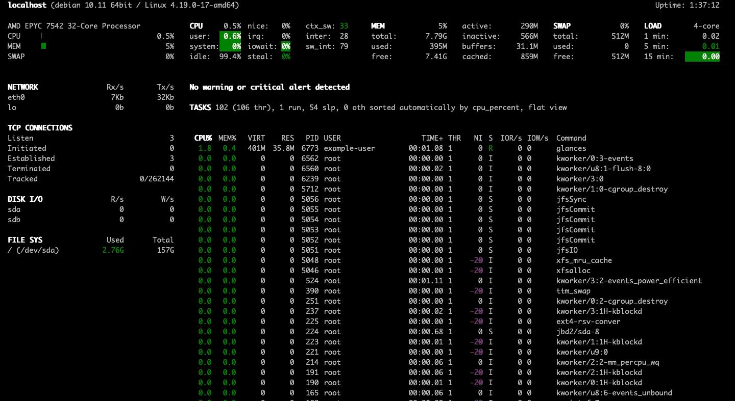 glances output in a web browser